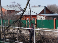 Ликвидация дерева Москва