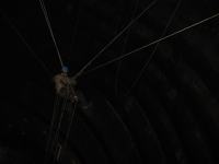 img-0509