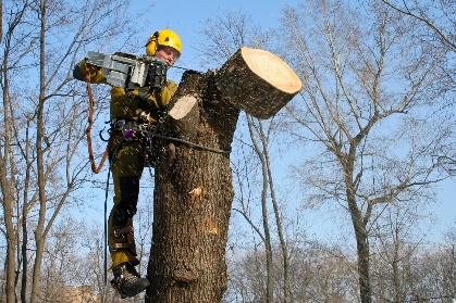 Удаление дерева по частям