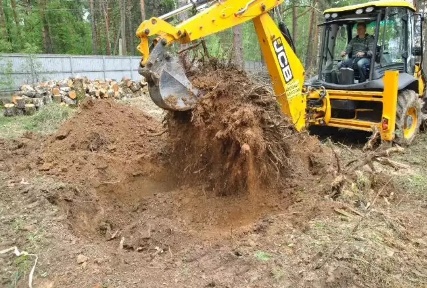 Корчевание деревьев